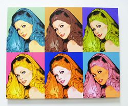 Warhol style 6 panels